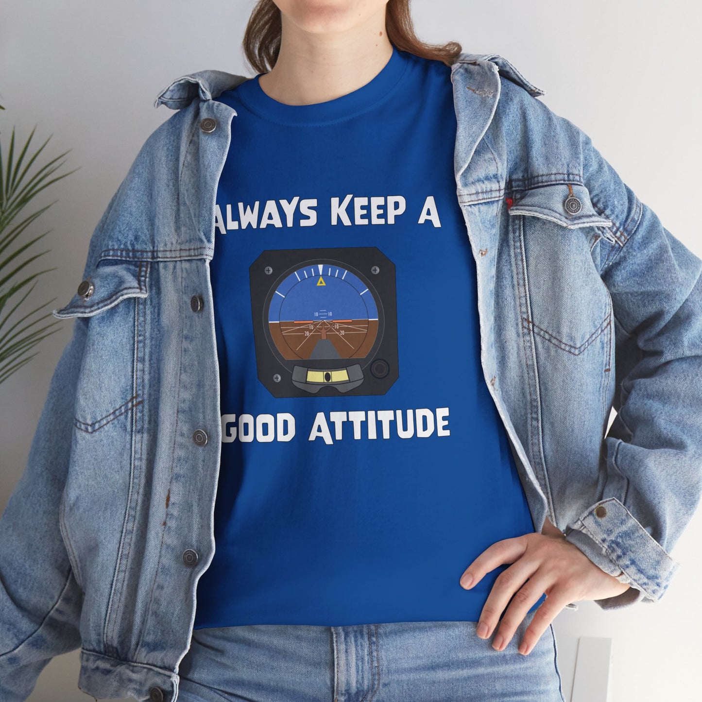 Always Keep a Good Attitude Pilot Aviation Attitude Indicator